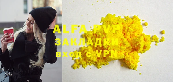 прущие грибы Вязники