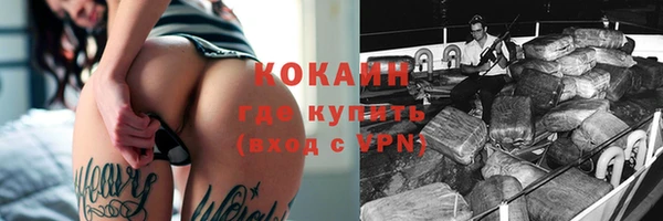 прущие грибы Вязники