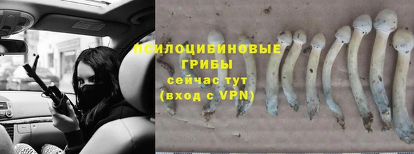 мдма Вяземский