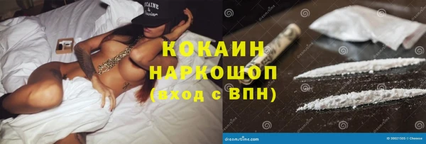 прущие грибы Вязники