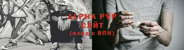 прущие грибы Вязники
