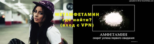 прущие грибы Вязники