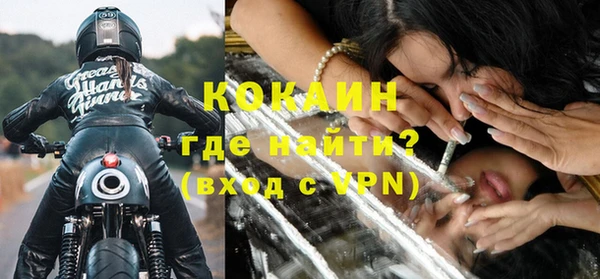 прущие грибы Вязники