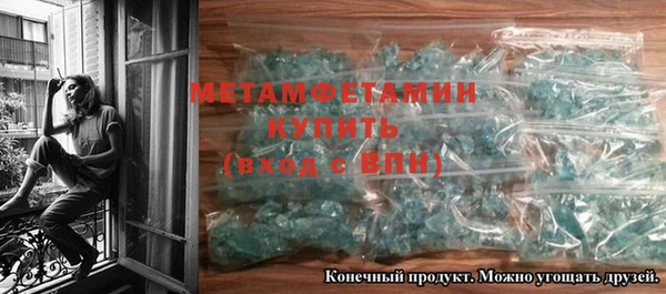 прущие грибы Вязники
