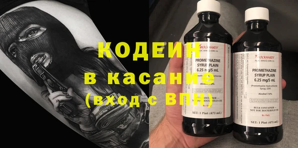 прущие грибы Вязники